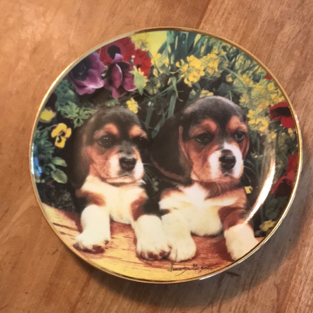 Puppies & Posies Limited Edition Porcelain Plate, The Franklin Mint - Beagles